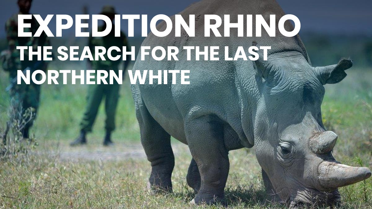 Expedhition-Rhino.jpg